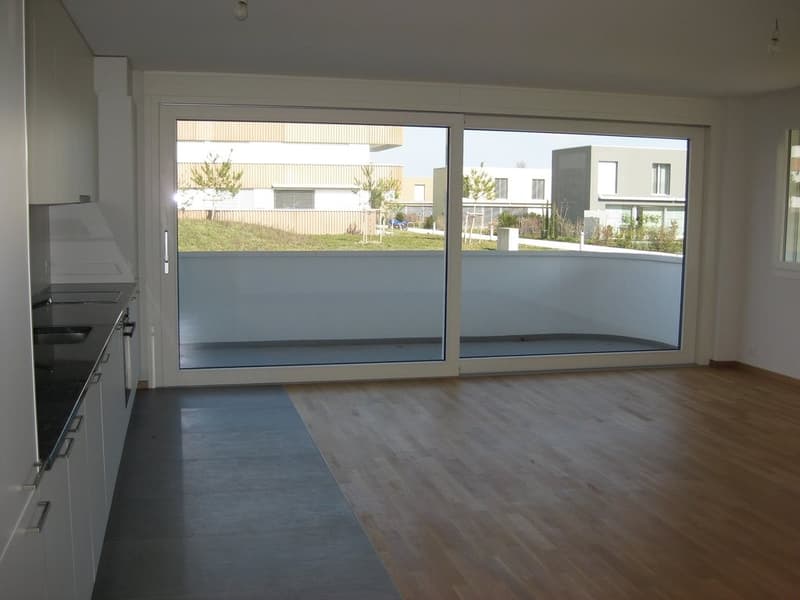 Magnifico 3.5 locali in un quartiere residenziale (2)