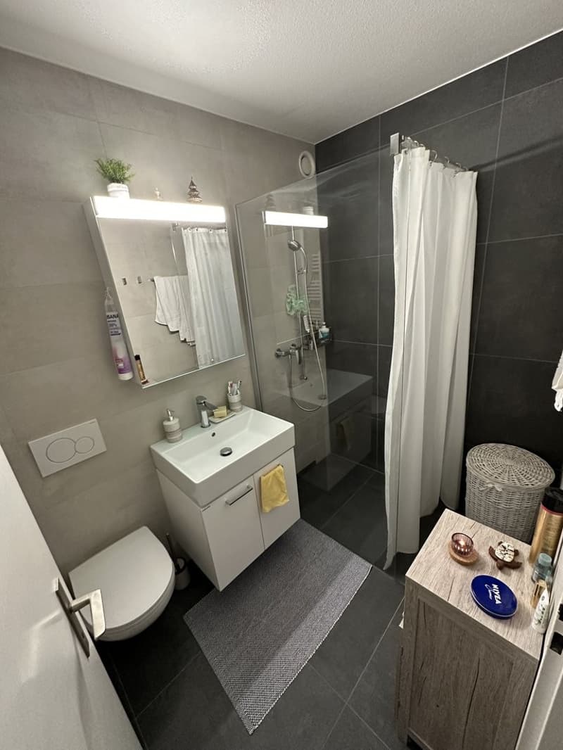 Schönes 2-Zimmer-Apartment (4)