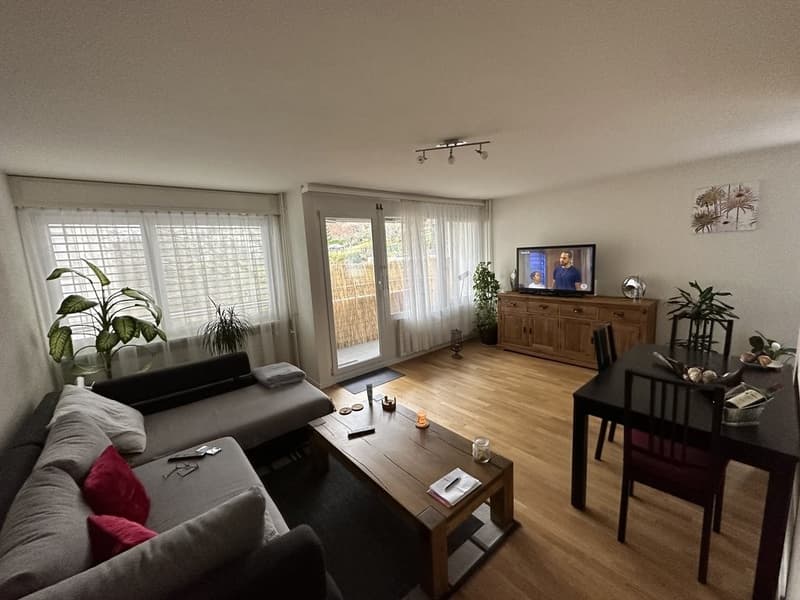Schönes 2-Zimmer-Apartment (2)