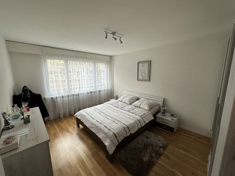 Schönes 2-Zimmer-Apartment (3)
