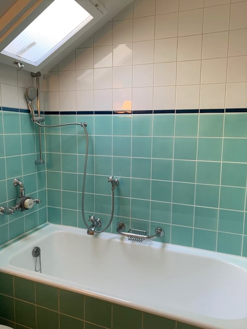 Schönes kleines Studio nahe dem See (4)