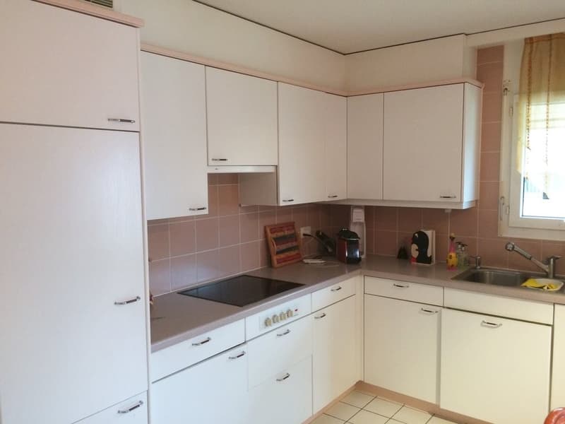 Großes 3.5-Zimmer-Dachgeschoss (3)