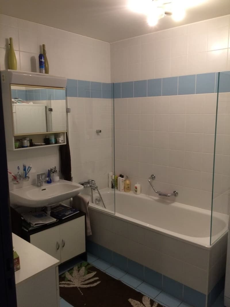 Großes 3.5-Zimmer-Dachgeschoss (4)