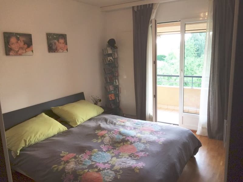 Großes 3.5-Zimmer-Dachgeschoss (6)