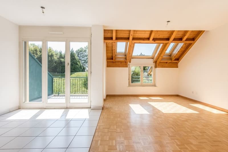 Meraviglioso appartamento di 4.5 locali con balcone (5)