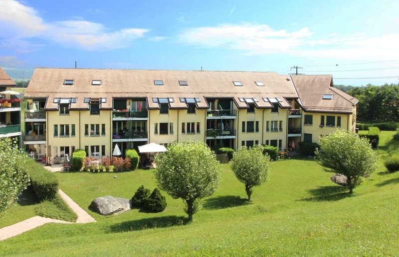 Meraviglioso appartamento di 4.5 locali con balcone (1)