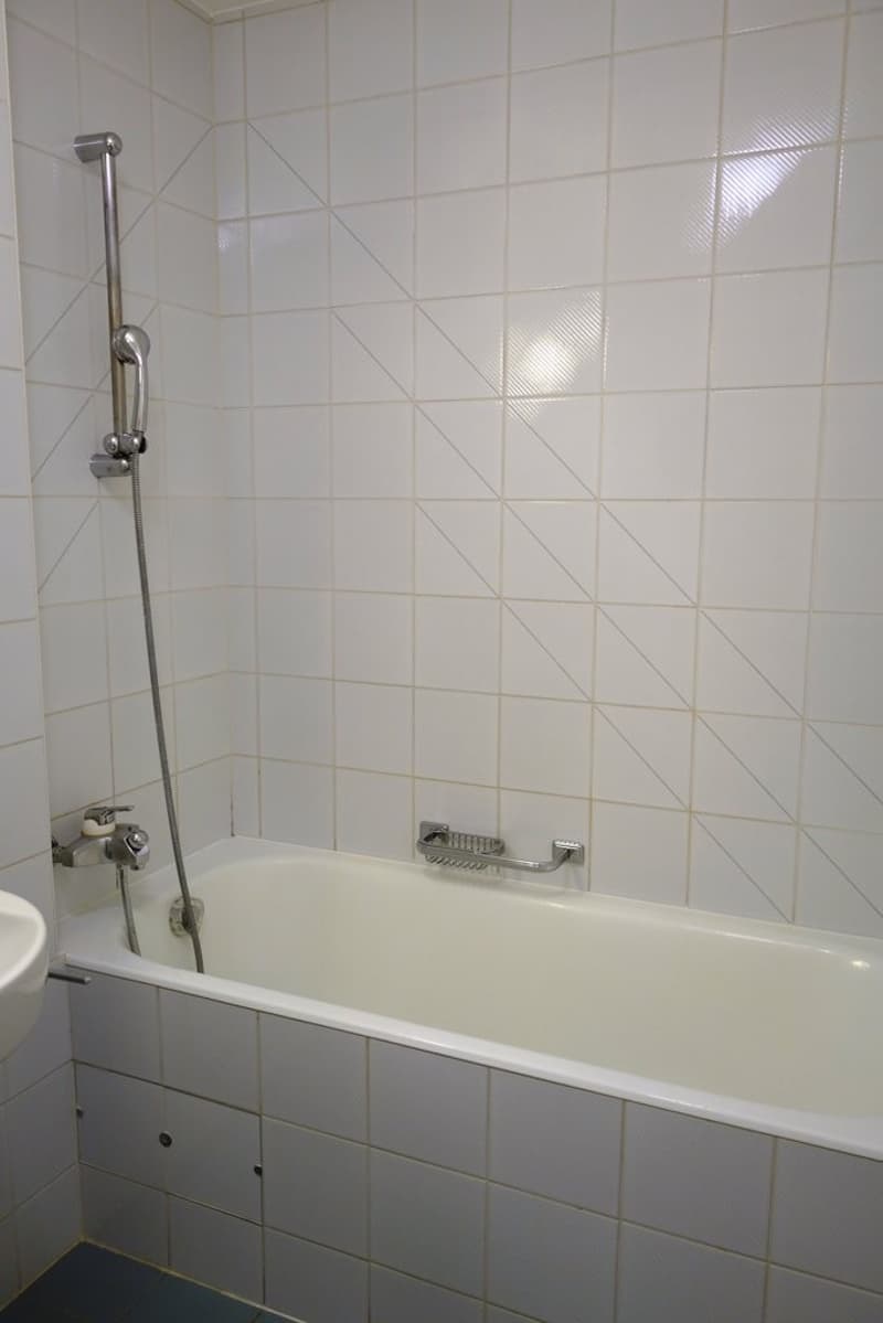 Meraviglioso appartamento di 4.5 locali con balcone (6)