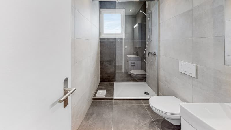 Magnifique appartement de 4.5 pièces avec vue sur le lac ! (4)