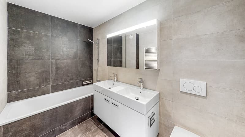 Magnifique appartement de 4.5 pièces avec vue sur le lac ! (3)