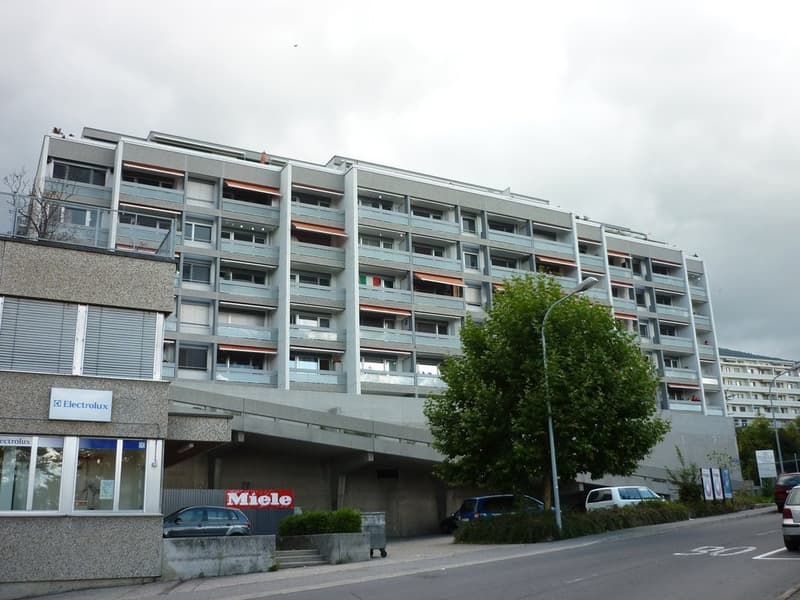 Magnifique appartement de 4.5 pièces avec vue sur le lac ! (12)