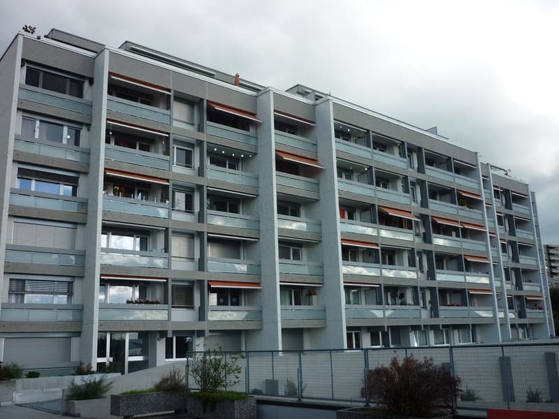 Magnifique appartement de 4.5 pièces avec vue sur le lac ! (11)