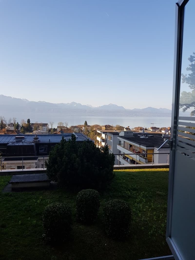 Bella superficie commerciale luminosa con vetrina (4)