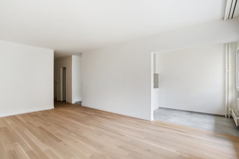 Beautiful modern apartment (4)