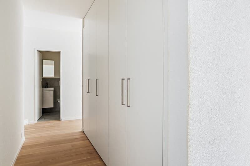 Beautiful modern apartment (3)