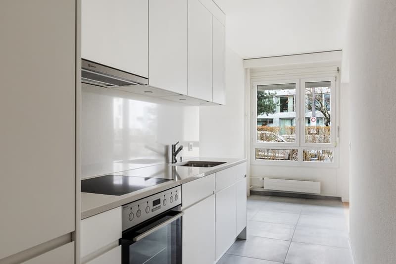 Beautiful modern apartment (2)
