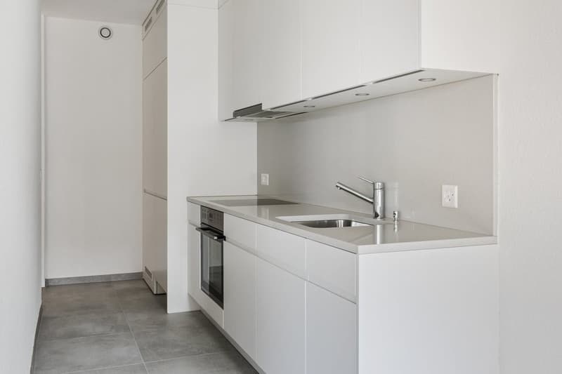 Beautiful modern apartment (1)