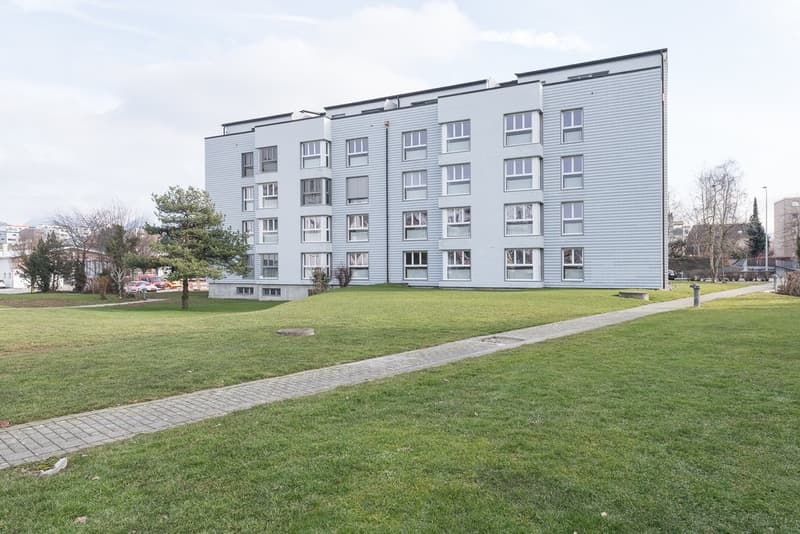 Palud_19_C.jpg