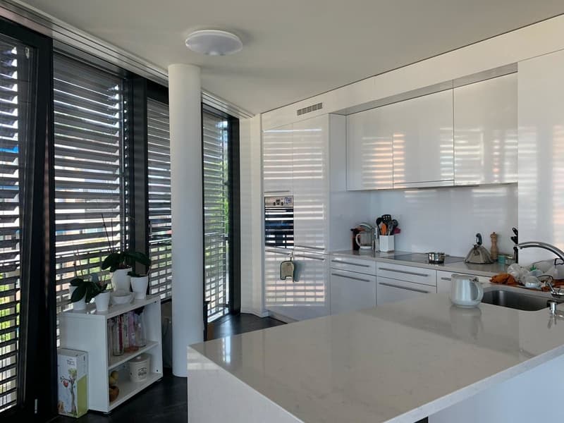 Superbe logement avec vue sur le lac ! (4)