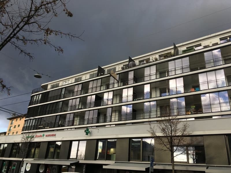 Superbe logement avec vue sur le lac ! (10)