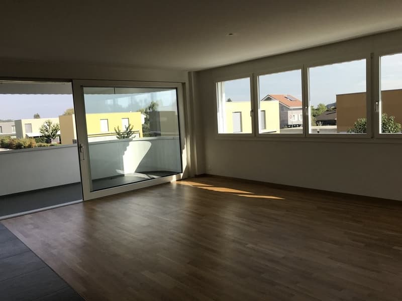 Magnificent 3.5 rooms in a residential area (3)