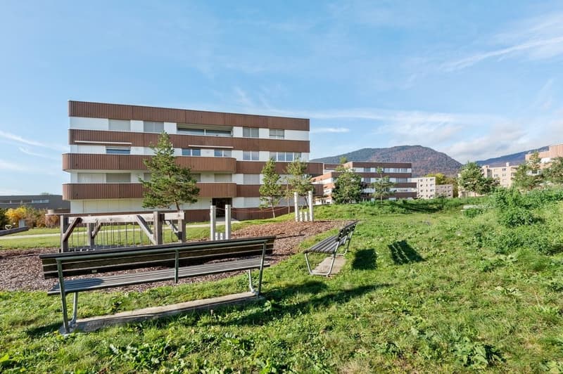 Magnificent 3.5 rooms in a residential area (5)