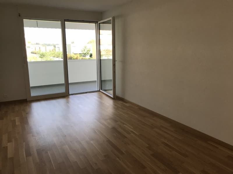 Magnificent 3.5 rooms in a residential area (2)