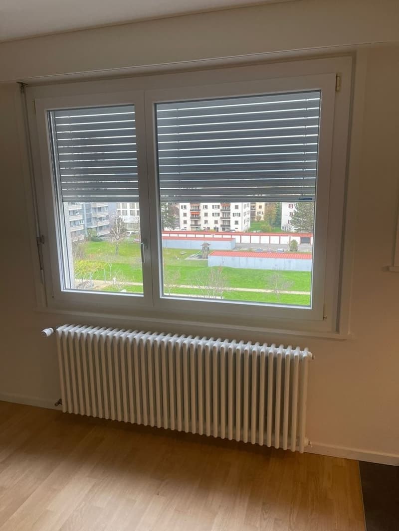 Schönes Apartment im letzten Stock (2)