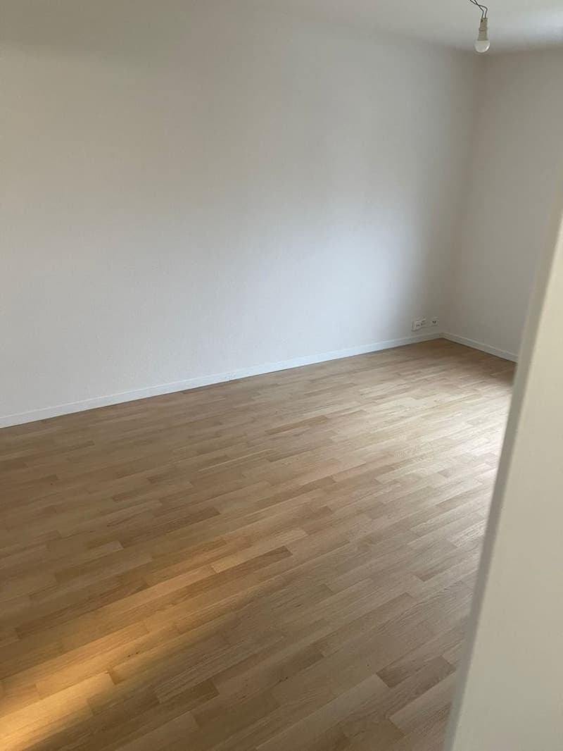 Schönes Apartment im letzten Stock (3)
