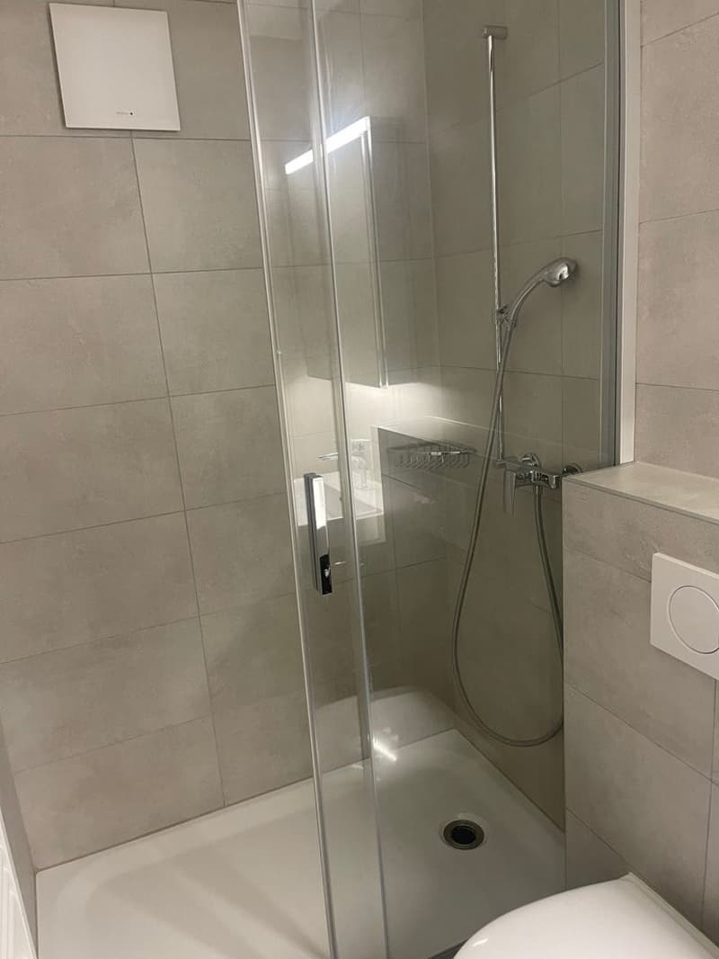Schönes Apartment im letzten Stock (4)