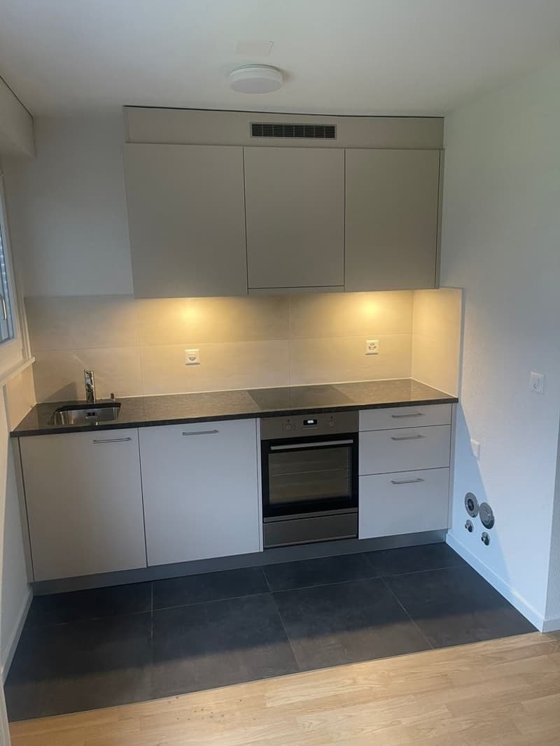 Schönes Apartment im letzten Stock (1)