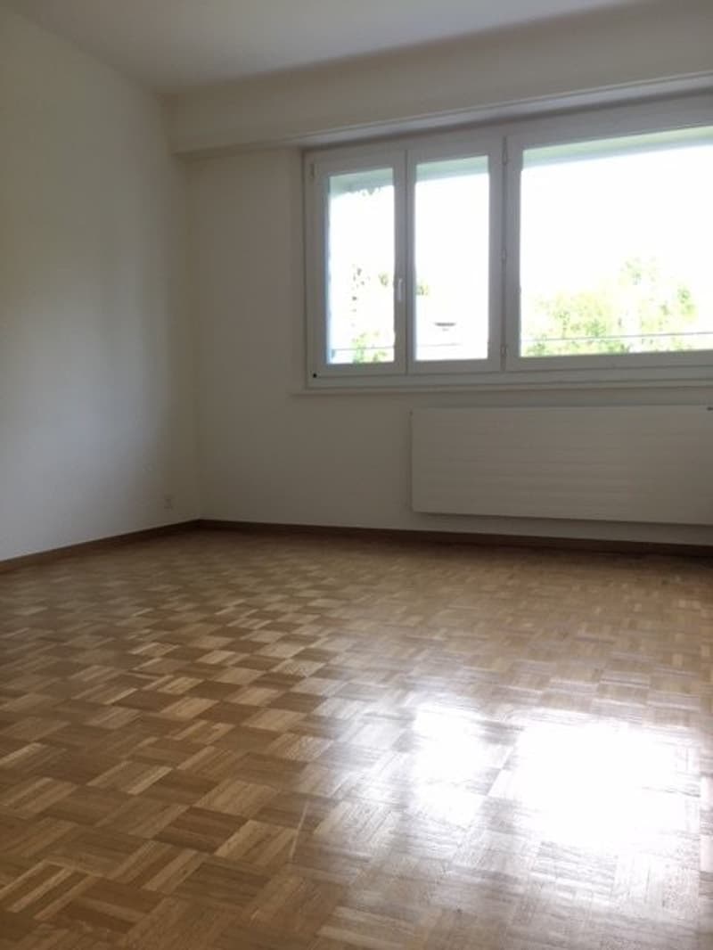 Très bel appartement au calme (4)