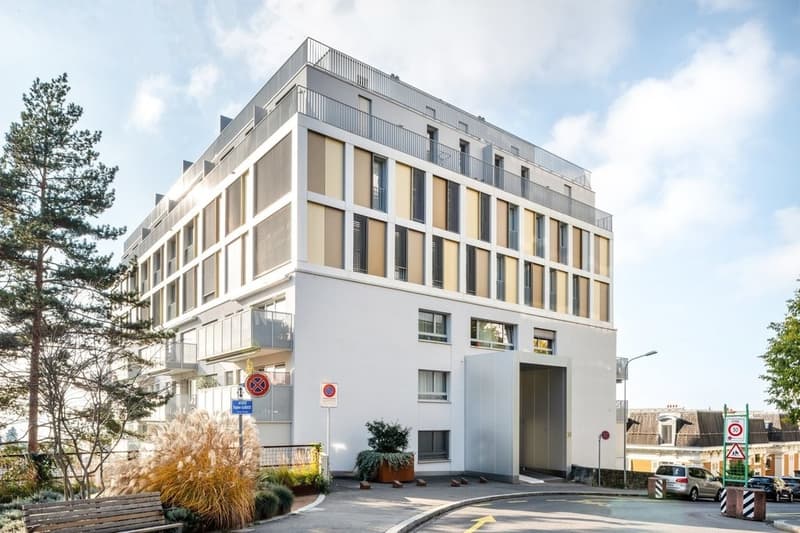 Très bel appartement lumineux (10)