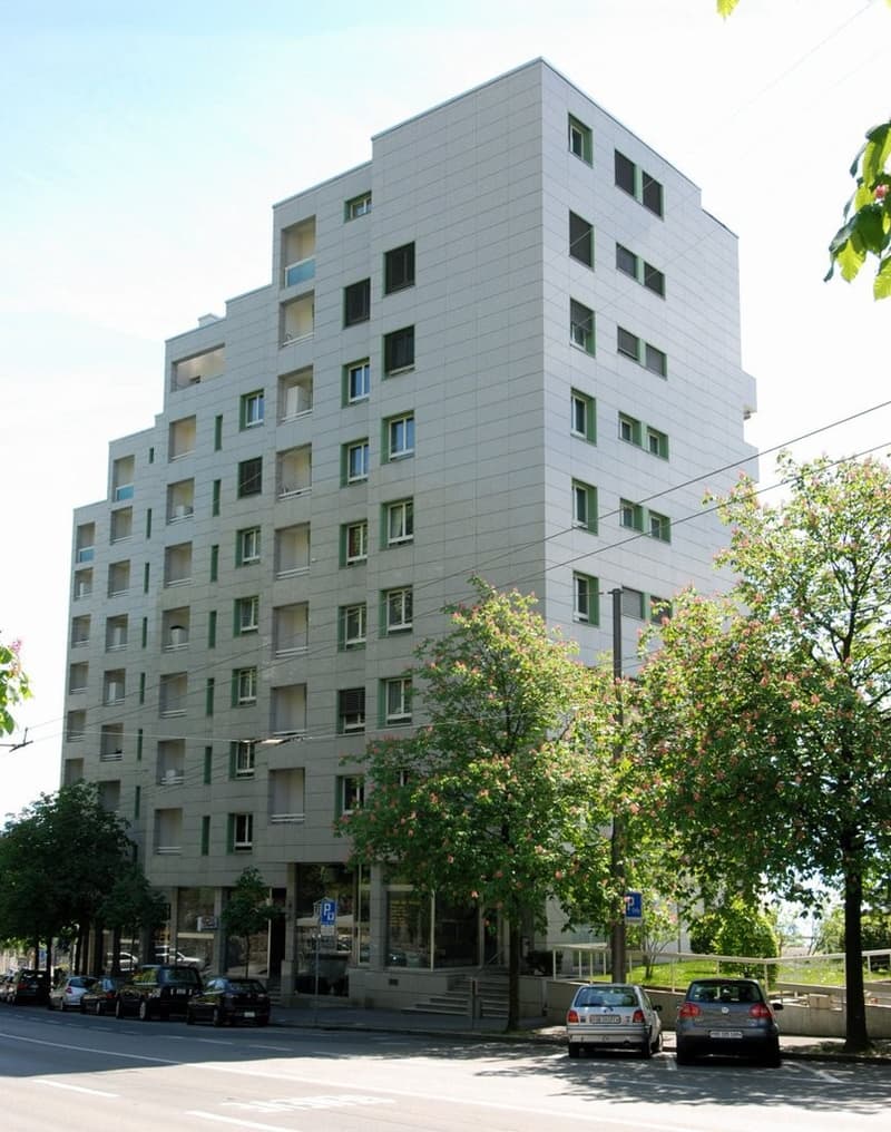 Magasin avec vitrine (6)
