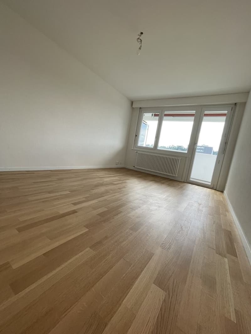 Appartement de 2 pièces entièrement rénové (3)