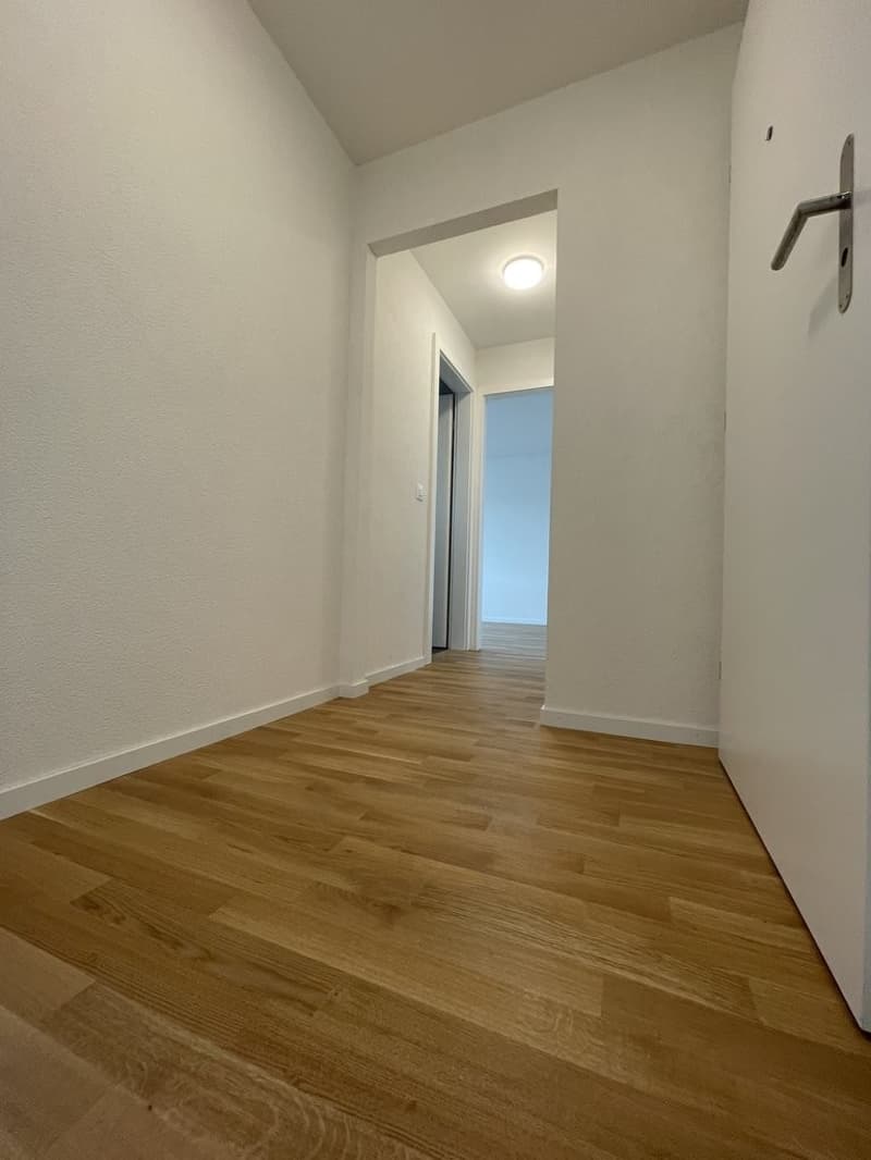 Appartement de 2 pièces entièrement rénové (2)
