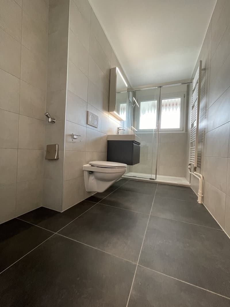 Appartement de 2 pièces entièrement rénové (4)