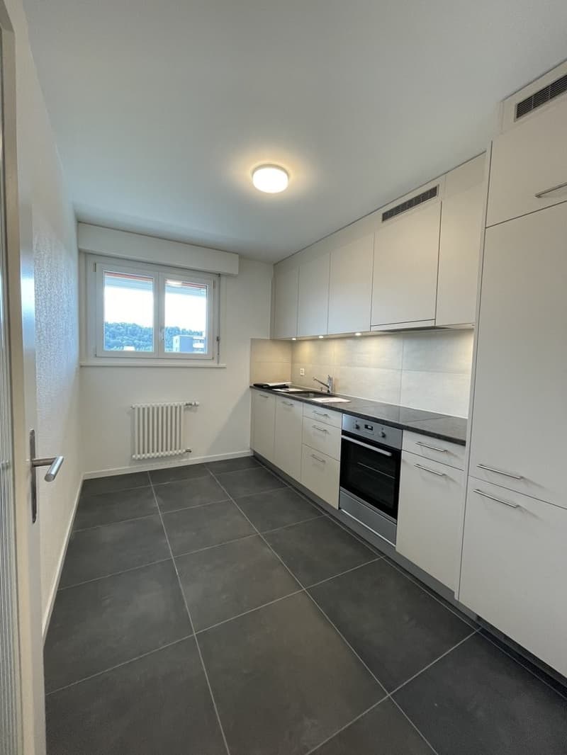 Appartement de 2 pièces entièrement rénové (6)