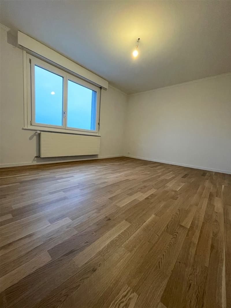 Bel appartement de 3 pces rénové (4)