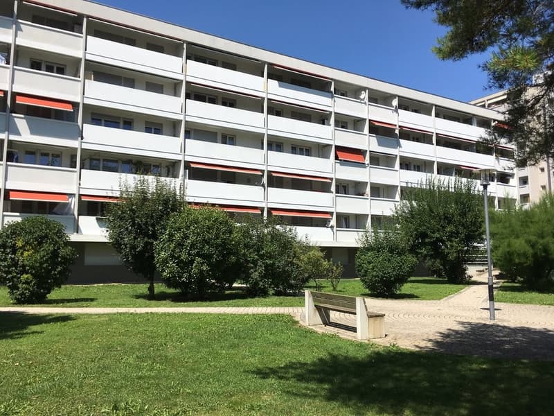 Bel appartement de 3 pces rénové (6)