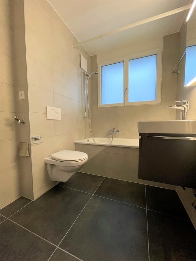 Bel appartement de 3 pces rénové (2)