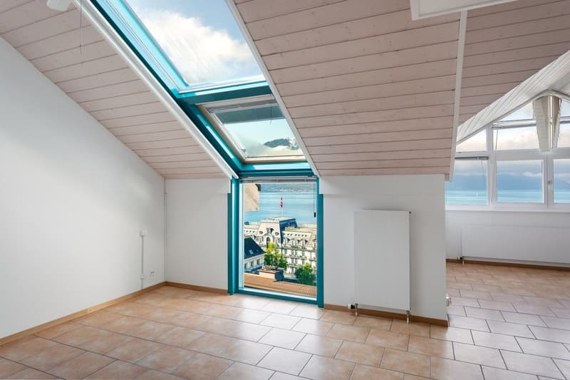 Superbe logement avec vue sur le lac (3)