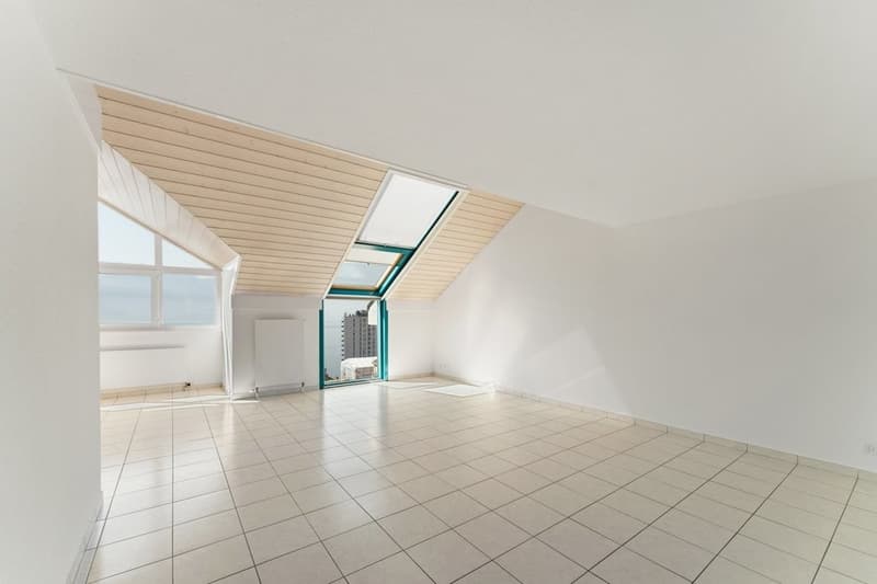Superbe logement avec vue sur le lac (10)