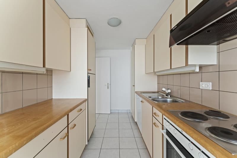 Superbe logement avec vue sur le lac (12)