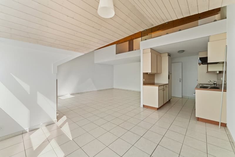 Superbe logement avec vue sur le lac (11)