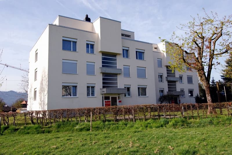 Vivre à Schönbühl (8)