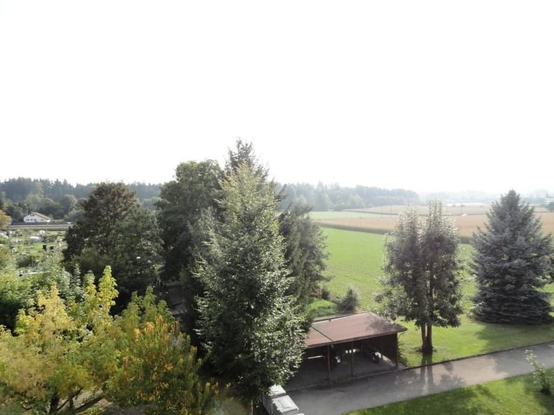Idylle rurale (6)