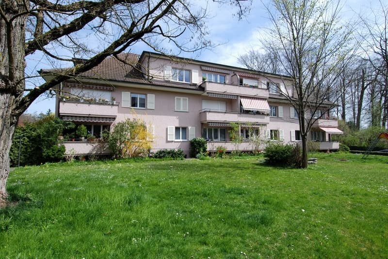 Gemütliches Wohnen im Elfenau (6)