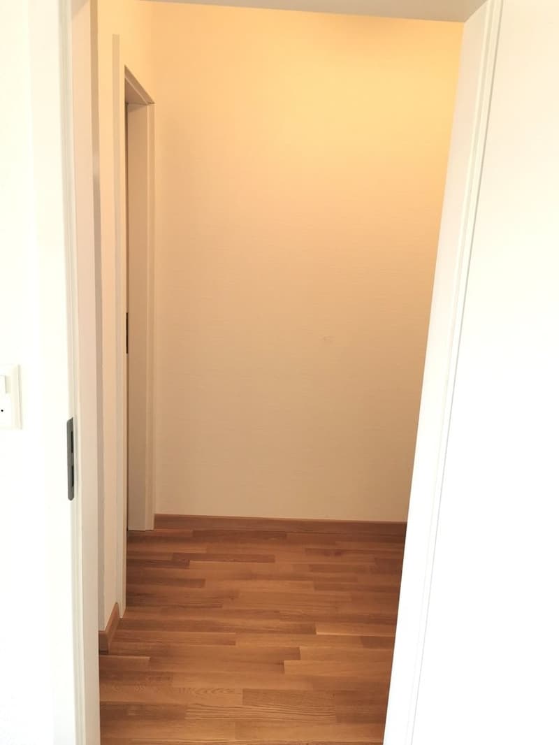 Ideale Singlewohnung! (5)