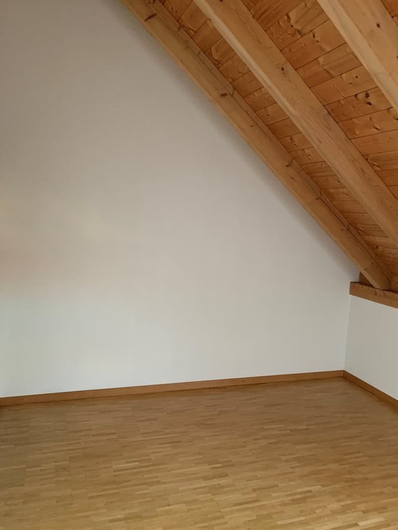 Sonnige Wohnung mit grosszügiger Galerie (9)