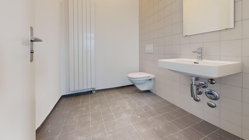 Toiletten-Analge 2